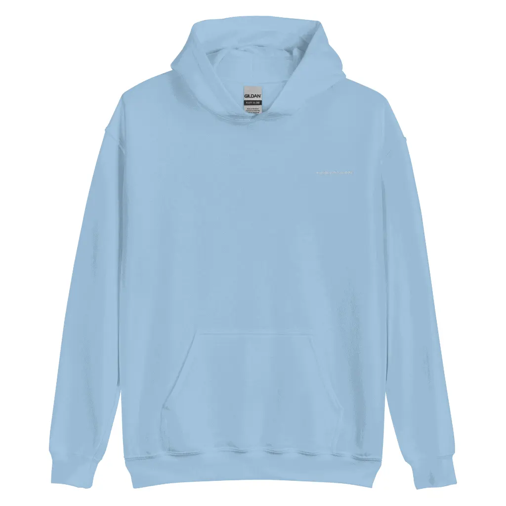 pull bleu clair.webp