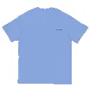 unisex-classic-tee-carolina-blue-front-66f51f1b33ca7.webp