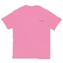 unisex-classic-tee-azalea-front-66f51f1b1f72a.webp