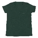 vert foncer.webp