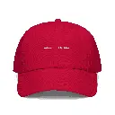 fitted-baseball-cap-red-front-66f5b3e6dba92.webp